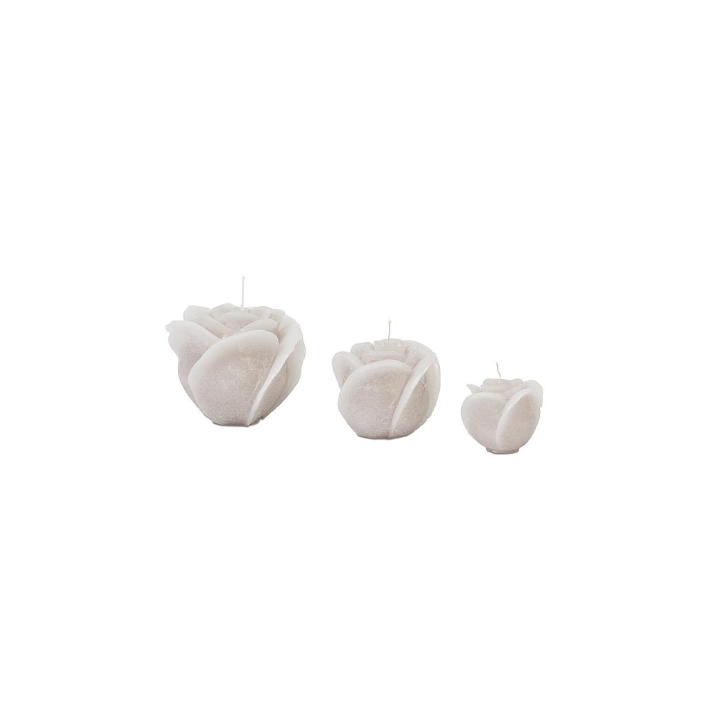 SCULPTURES ROSES - medium Ø 12 x 10 - 1 - int. cot. - p/6