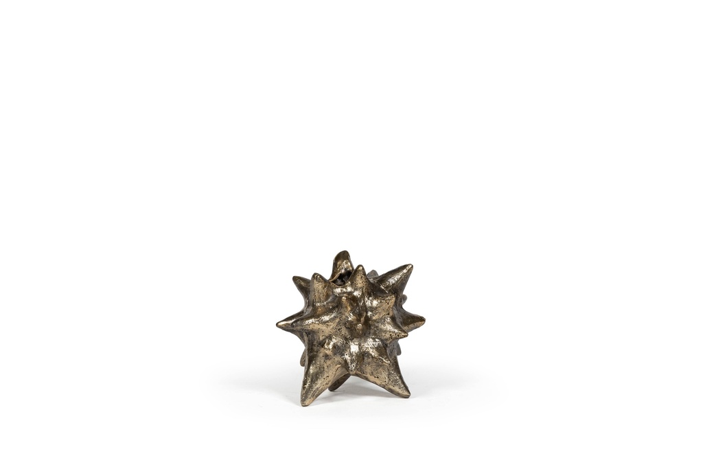 Vase starfish rough - metal - antique gold - 22 x 18 x 22cm - p 1/6