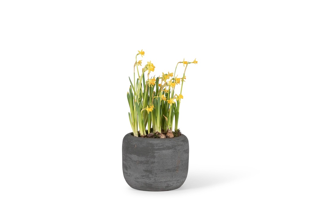 Flowerpot - terracotta - washed brown - Ø26 x 20 - p 1
